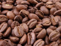 semillas de cafe