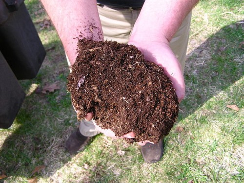 640px-Compost-dirt